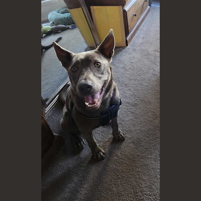 Photo of Stormy 