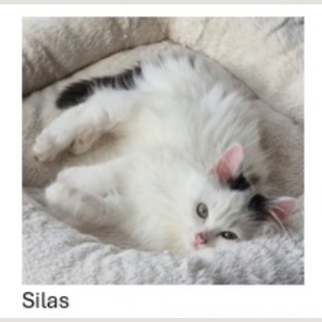 Photo of Silas