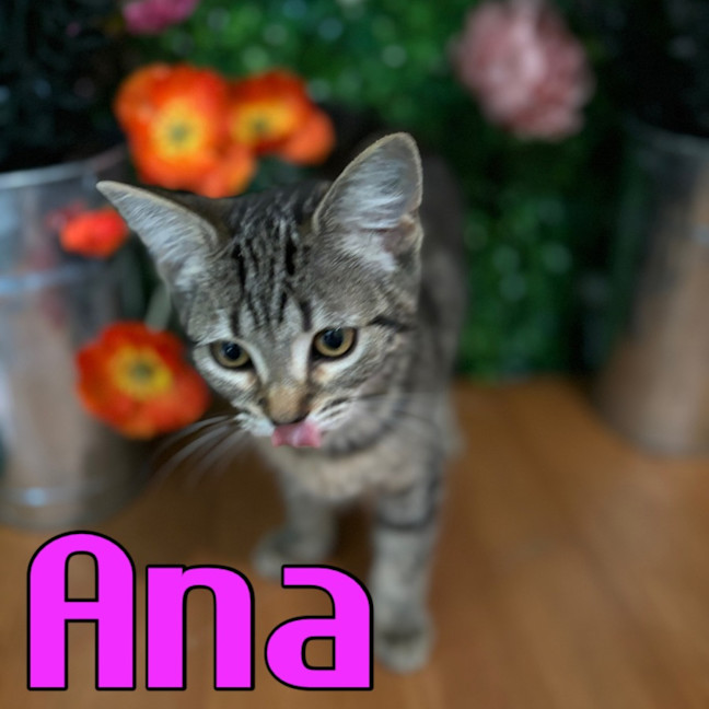 Photo of Ana