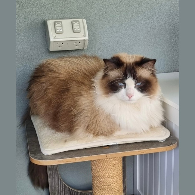 Photo of Sissi