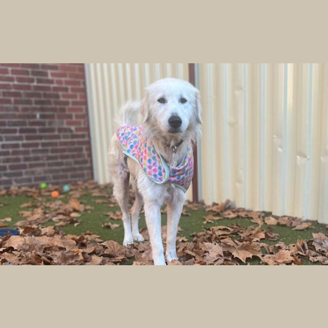 Photo of Maisy 