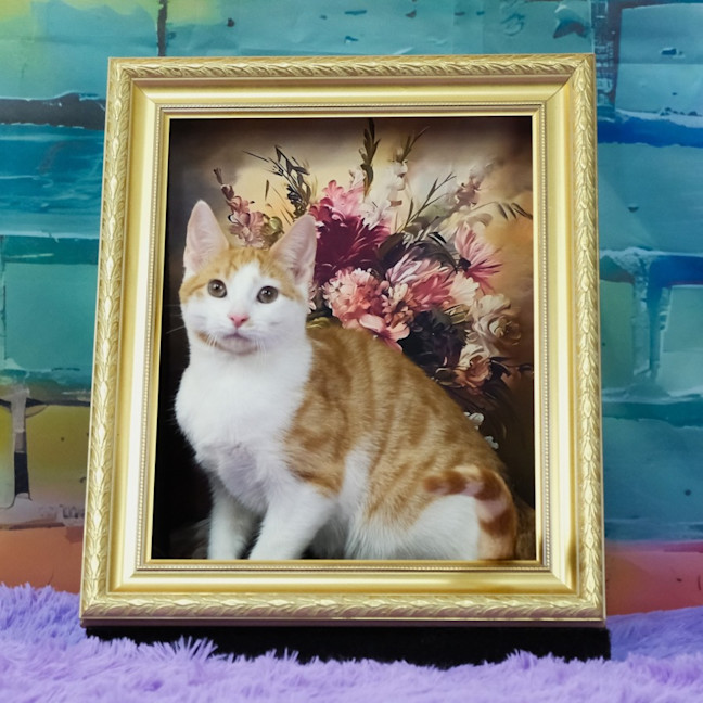 Photo of Fred Weasley