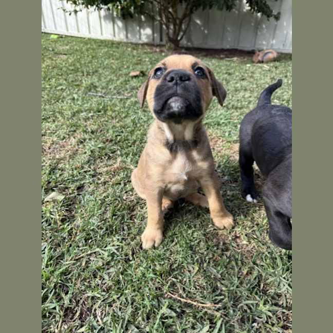 Photo of Maggie