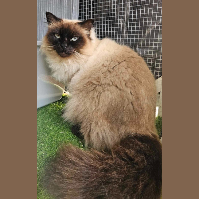 Photo of Lola
