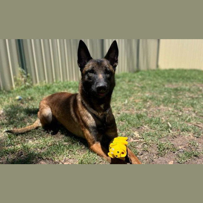 Photo of Remington