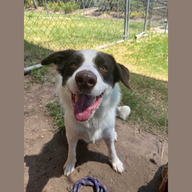 Photo of Maverick 