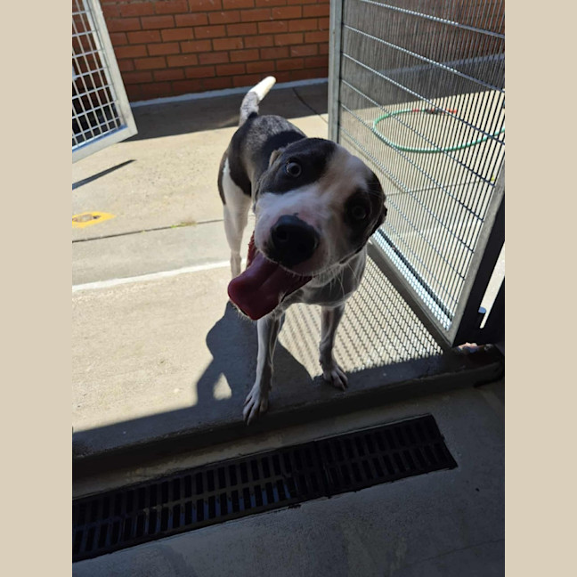 Photo of Zippy! 🪀