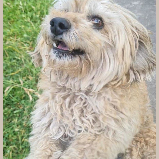 Photo of Angie And Naki Lozano