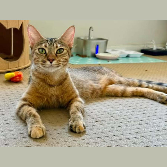 Photo of Arya
