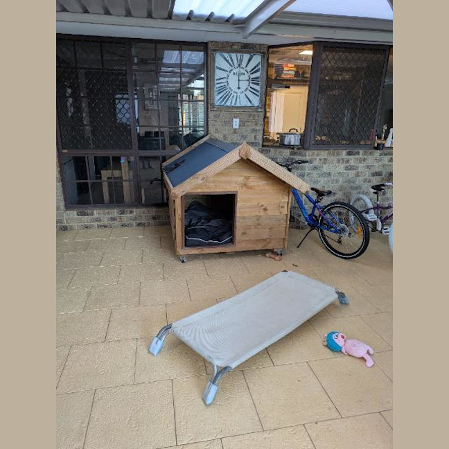 Photo of Driftwood Dozer