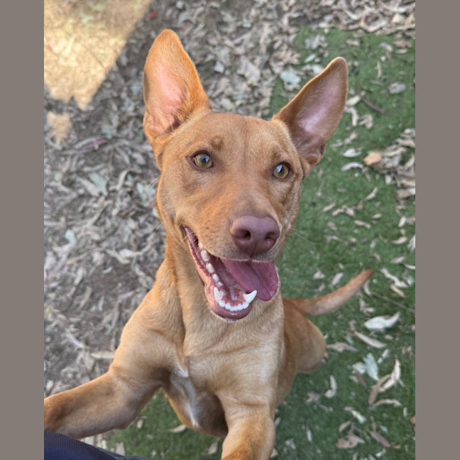 Photo of Kiki