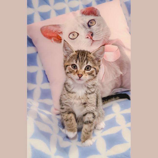 Photo of Catricia