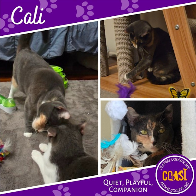 Photo of Cali