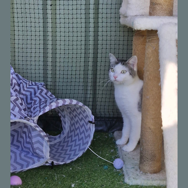 Photo of Tabitha
