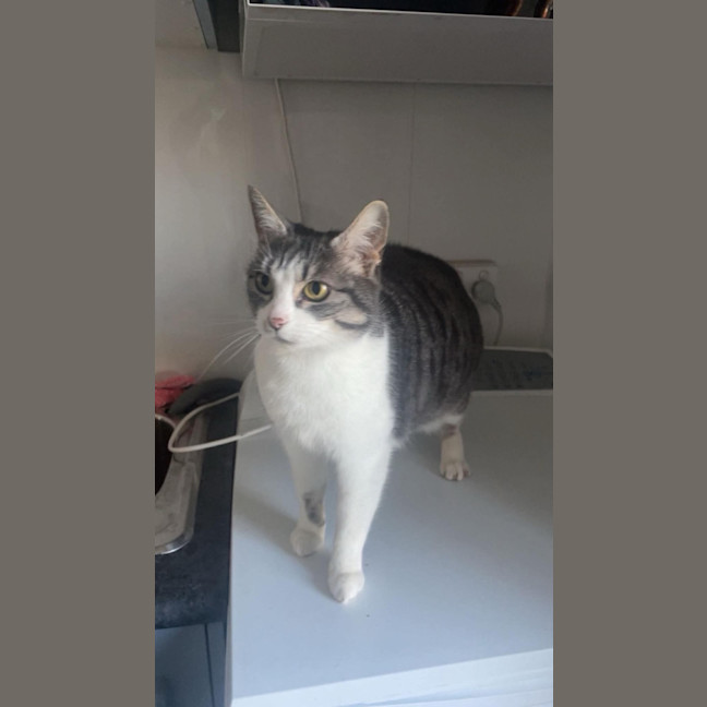 Photo of Belle