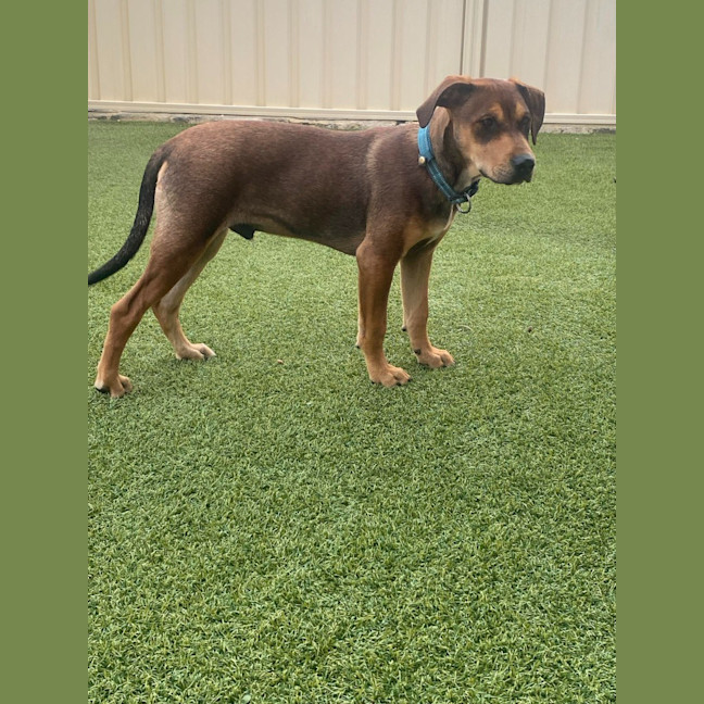 Photo of Spike
