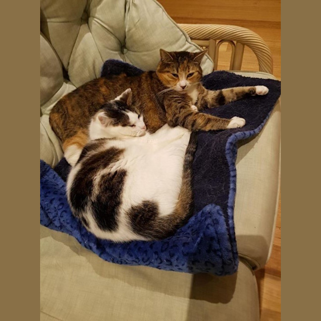 Photo of Katrina & Nigel