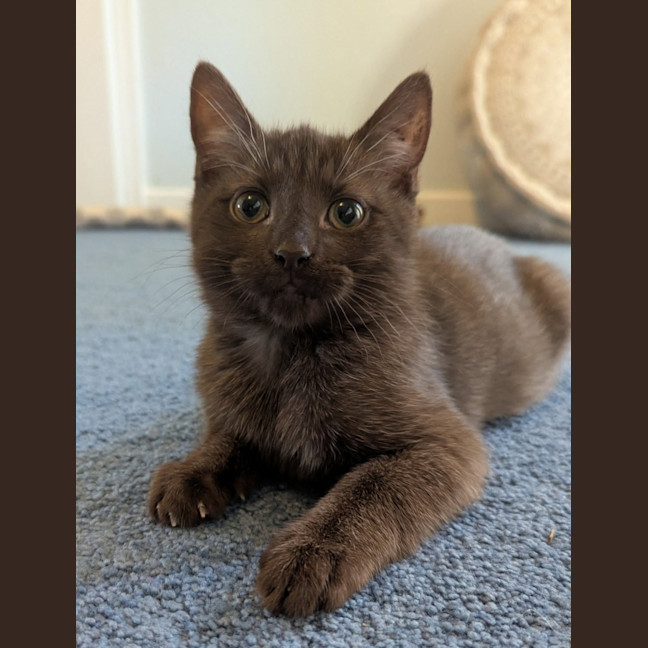Photo of Truffle 