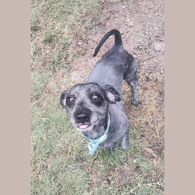 Photo of Murphy