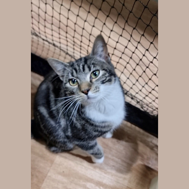 Photo of Bamble