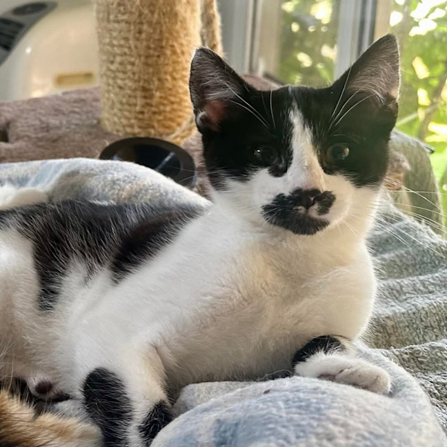 Photo of Kung Fu Panda