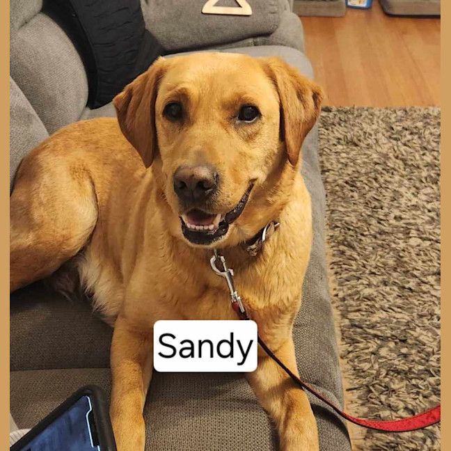 Photo of Sandy