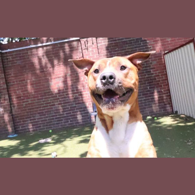 Photo of Zeek