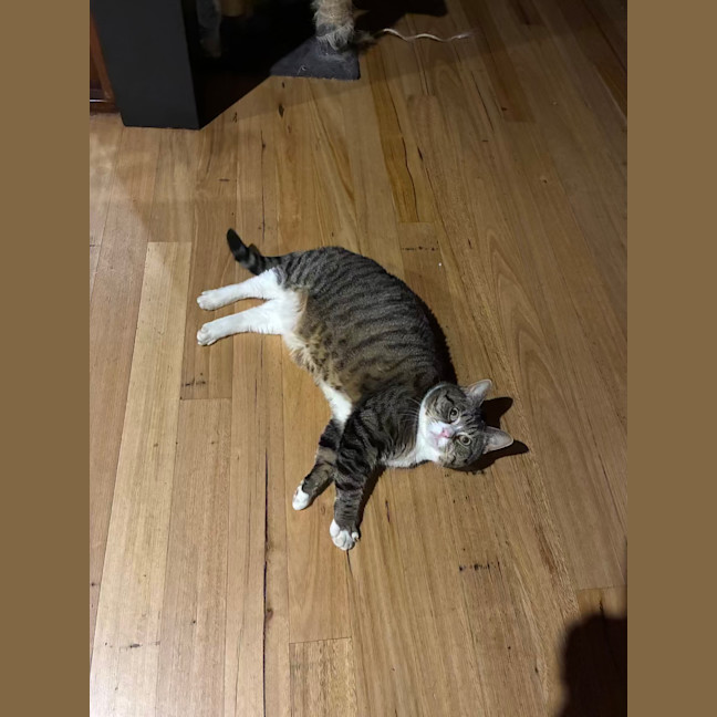 Photo of Izzy