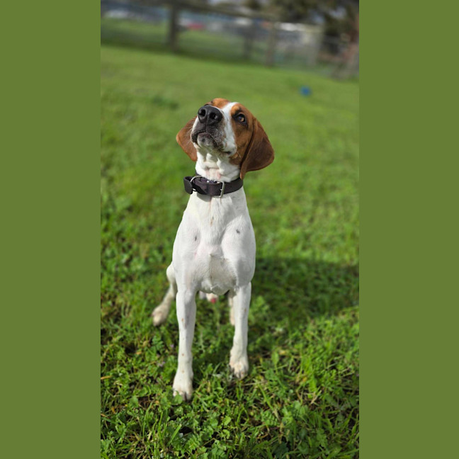 Photo of Wally