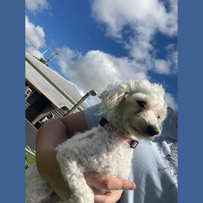 Photo of Peppa
