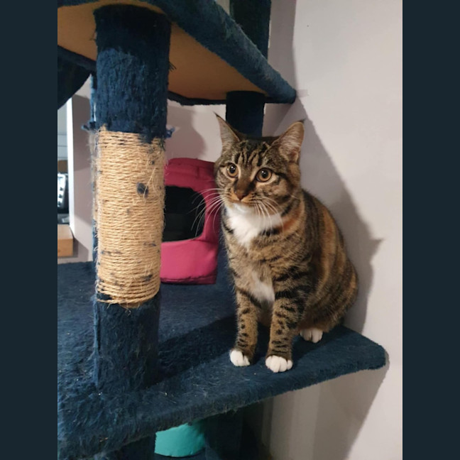Photo of Evie