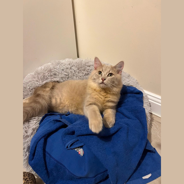 Photo of Benny & Goldie