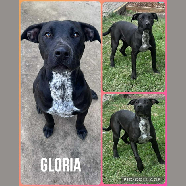 Photo of Gloria