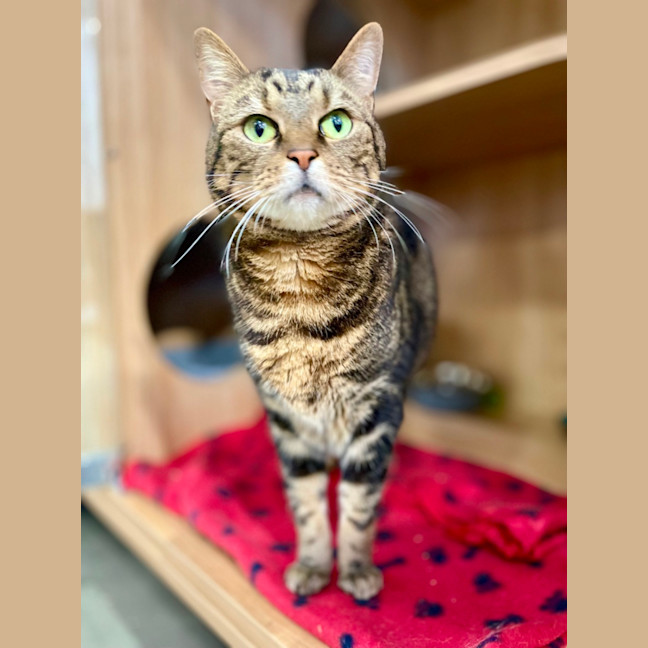 Photo of River And Tyra