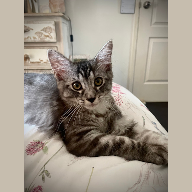 Photo of Leo