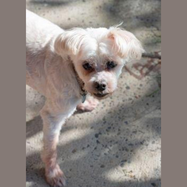 Photo of Wally And Ollie Peggotty