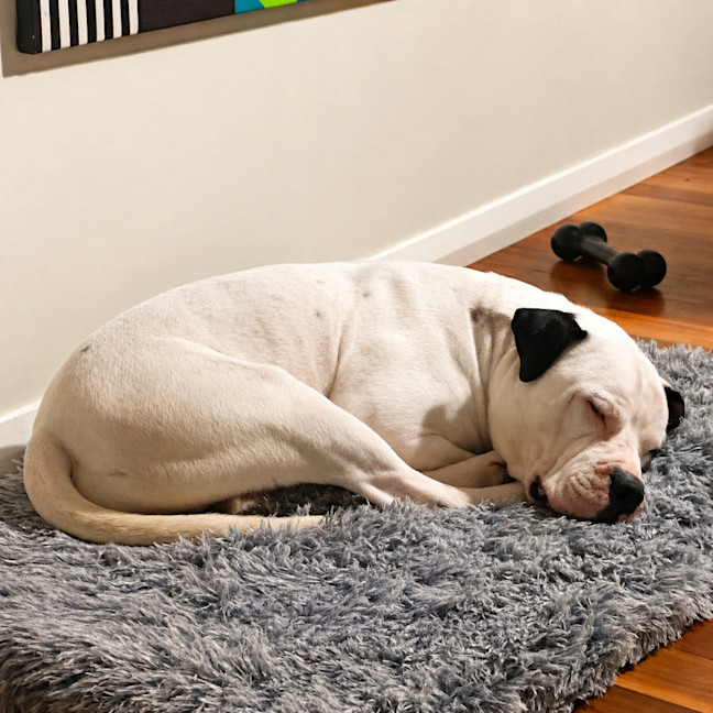 Photo of Turbo