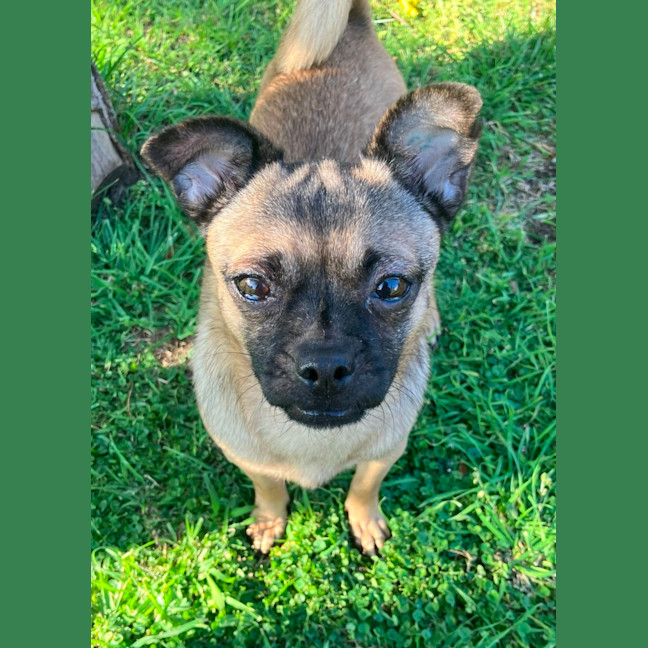 Photo of Minnie 🐭