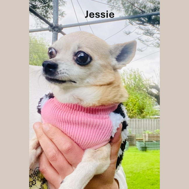 Photo of Bella And Jessie
