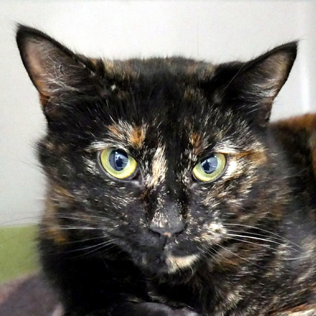 Photo of Valentina Rsta014176