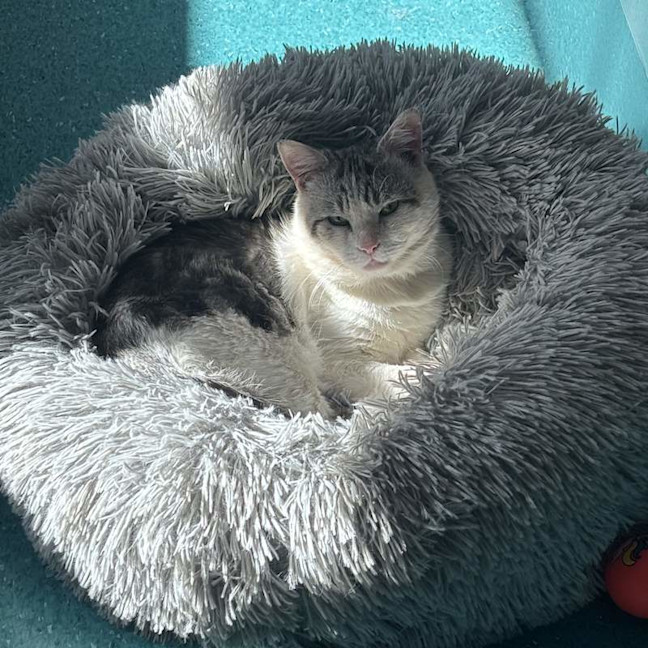 Photo of Dudley