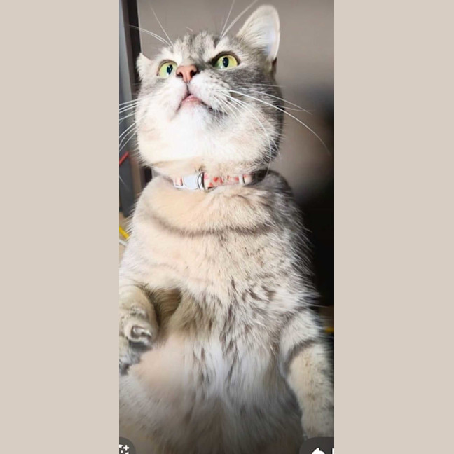 Photo of Missy