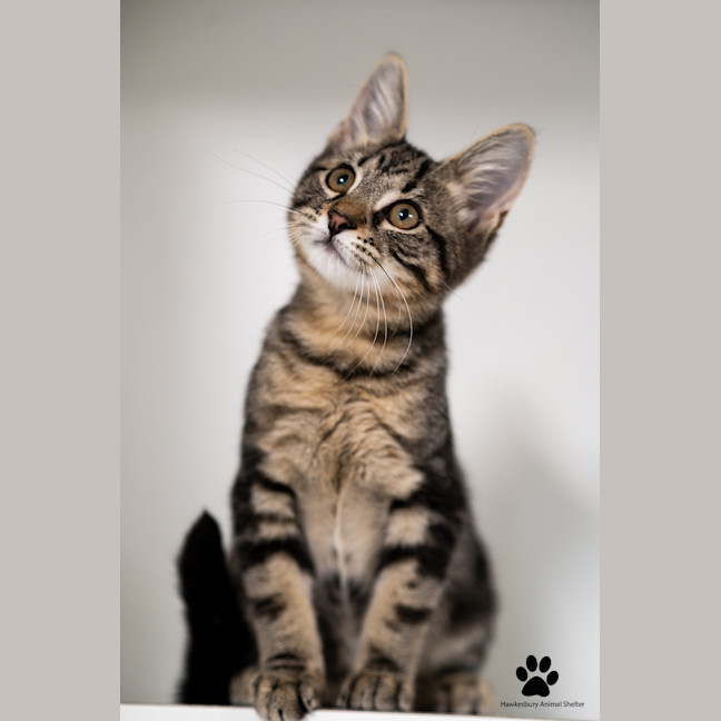 Photo of Tom