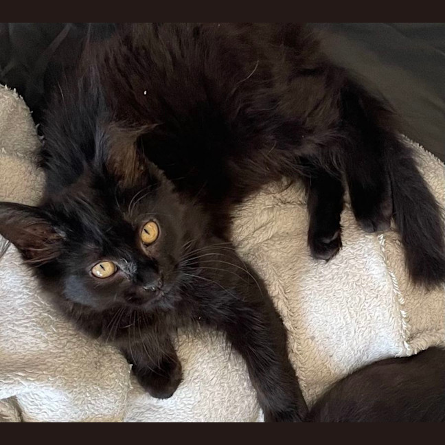 Photo of Frankie & Billie