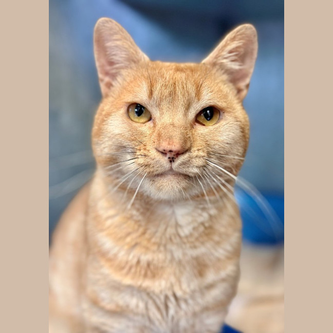 Photo of Ernie