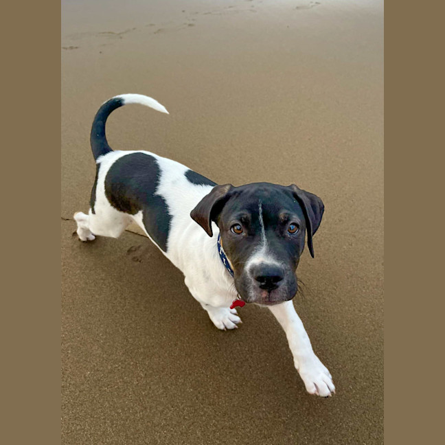 Photo of Margarita (Margi) 
