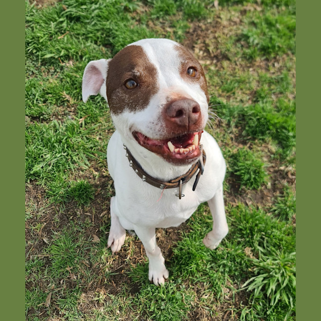 Photo of Xena 