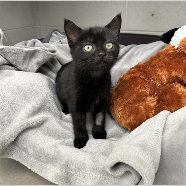 Photo of Dorothy