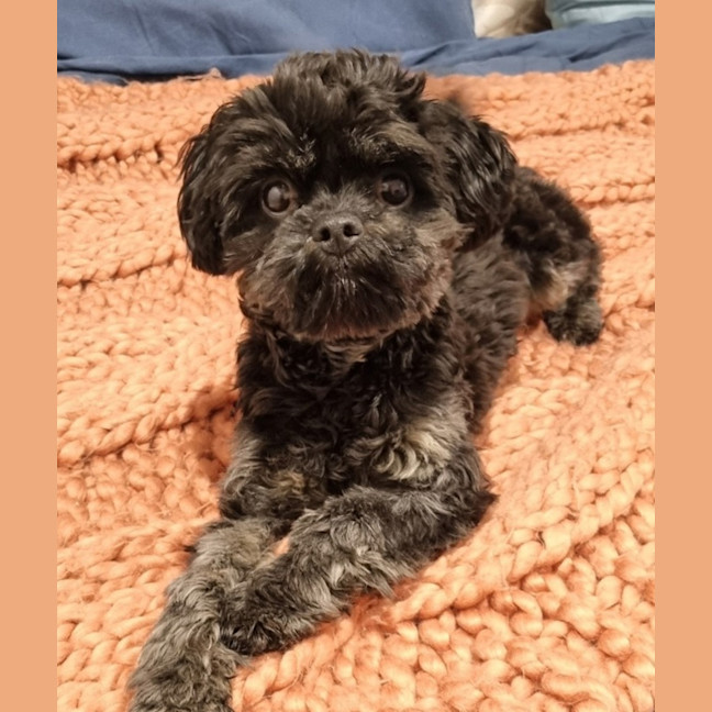 Photo of Mambo No. 5