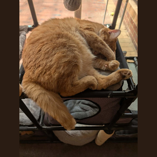 Photo of Jasper